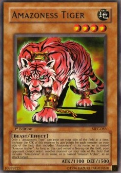 Amazoness Tiger