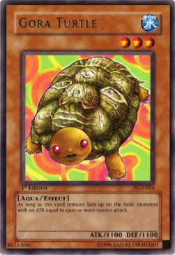 Gora Turtle