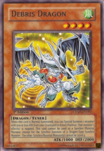 Debris Dragon