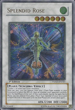 Splendid Rose (V.2 - Ultimate Rare)