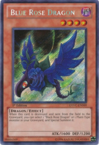 Blue Rose Dragon