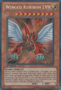 Winged Kuriboh LV9