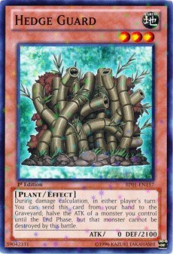 Hedge Guard (V.2 - Starfoil Rare)