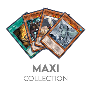 Maxi Collection (Up to 1000 cards)