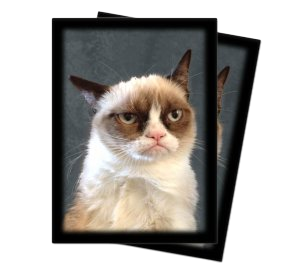 50 Grumpy Cat Sleeves