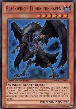 Blackwing - Elphin the Raven