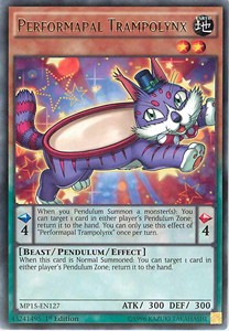 Performapal Trampolynx