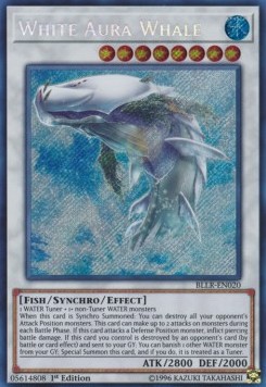 White Aura Whale