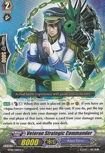 Veteran Strategic Commander [G Format]