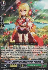 Amaryllis Musketeer, Tatiana [G Format]