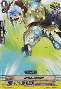 Strike Liberator [G Format]