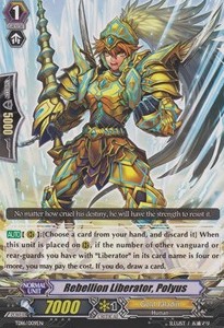 Rebellion Liberator, Polyus [G Format]