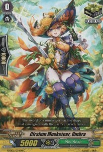 Cirsium Musketeer, Umbra [G Format]