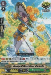 Marigold Musketeer, Rachele [G Format]