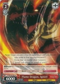 Flame Dragon, Igneel