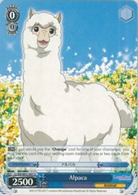 Alpaca