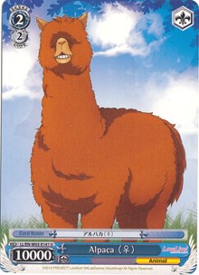 Alpaca