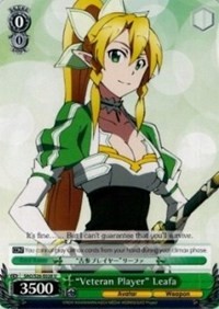 "Veteran Player" Leafa