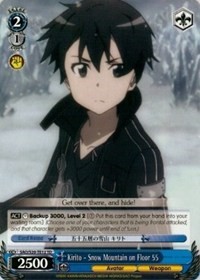 Kirito - Snow Mountain on Floor 55