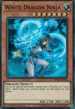 White Dragon Ninja