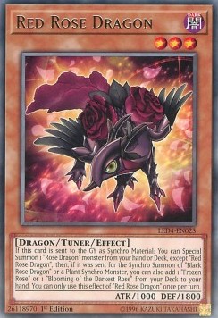 Red Rose Dragon