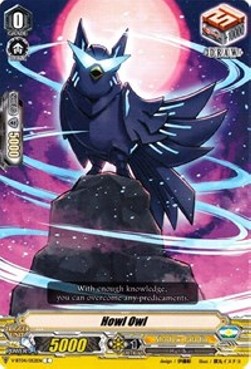 Howl Owl [V Format]