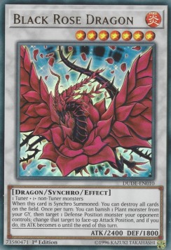 Black Rose Dragon