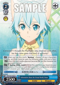 Information About the Virtual World, Sinon