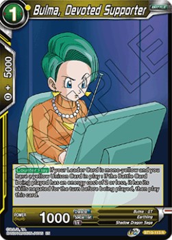 Bulma, Devoted Supporter