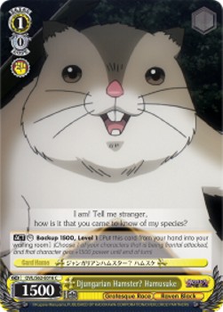 Djungarian Hamster? Hamusuke