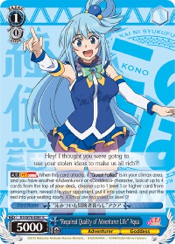 "Required Quality of Adventurer Life" Aqua (V.1 - Rare)