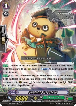 Balloon Racoon [G Format]