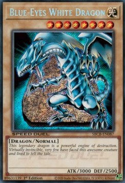 Blue-Eyes White Dragon (V.2 - Secret Rare)