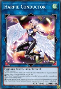 Harpie Conductor