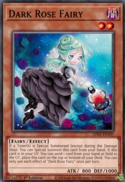 Dark Rose Fairy