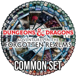 Adventures in the Forgotten Realms: Common Set