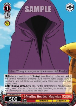 Merlin: Hooded Magician