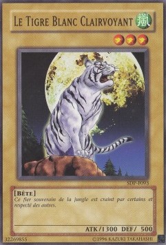 The All-Seeing White Tiger