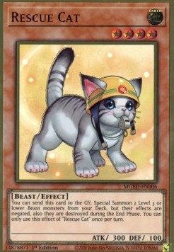 Rescue Cat (V.2 - Premium Gold Rare)