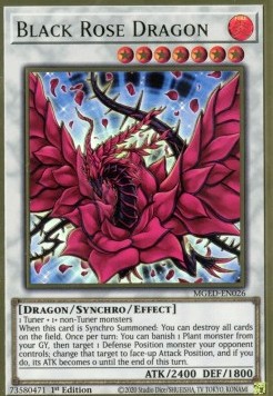 Black Rose Dragon (V.1 - Premium Gold Rare)