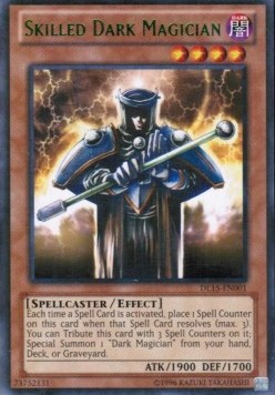 Skilled Dark Magician (V.2 - Rare)