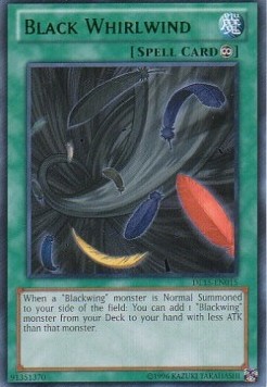 Black Whirlwind (V.2 - Rare)