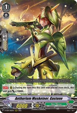 Anthurium Musketeer, Gastone [V Format]