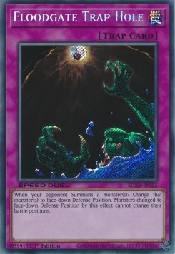 Floodgate Trap Hole (V.2 - Secret Rare)