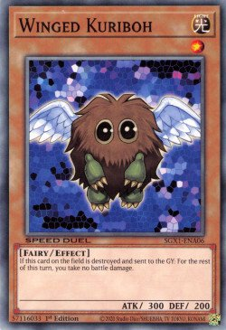 Winged Kuriboh (V.1 - Common)