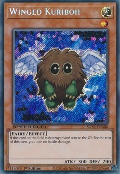 Winged Kuriboh (V.2 - Secret Rare)