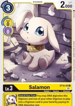 Salamon (ST10-02)