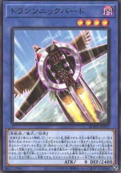 Transonic Bird