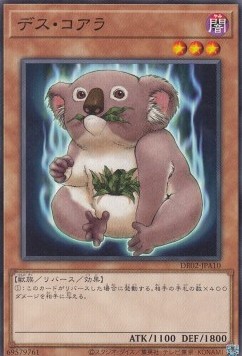 Des Koala