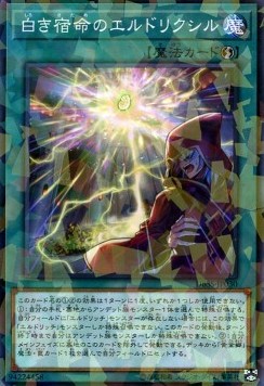 Eldlixir of White Destiny (V.2 - Parallel Rare)